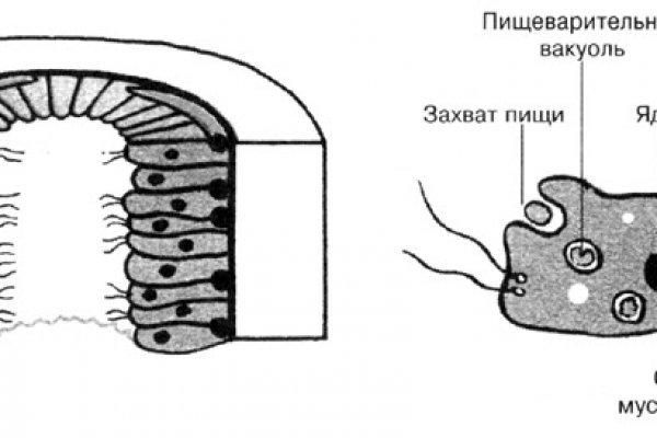 Браузер кракен