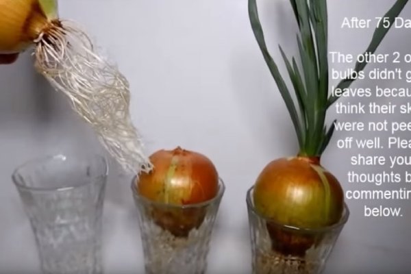 Как восстановить аккаунт кракен