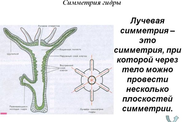 Ссылка кракен магазин